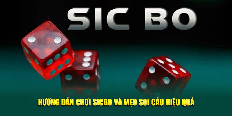 huong-dan-choi-sicbo-va-meo-soi-cau-hieu-qua