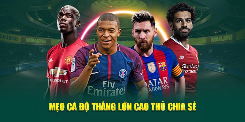 meo-ca-do-thang-lon-cao-thu-chia-se