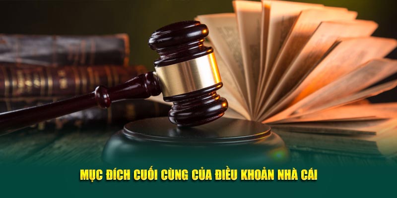 muc-dich-cuoi-cung-cua-dieu-khoan-nha-cai