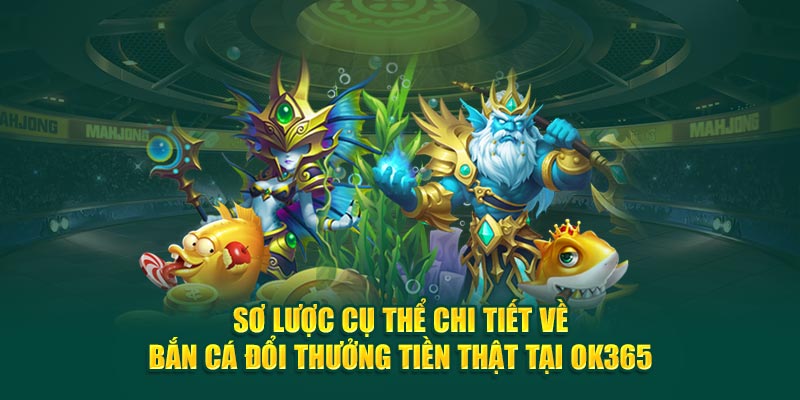 so-luoc-cu-the-chi-tiet-ve-ban-ca-doi-thuong-tien-that-tai-ok365