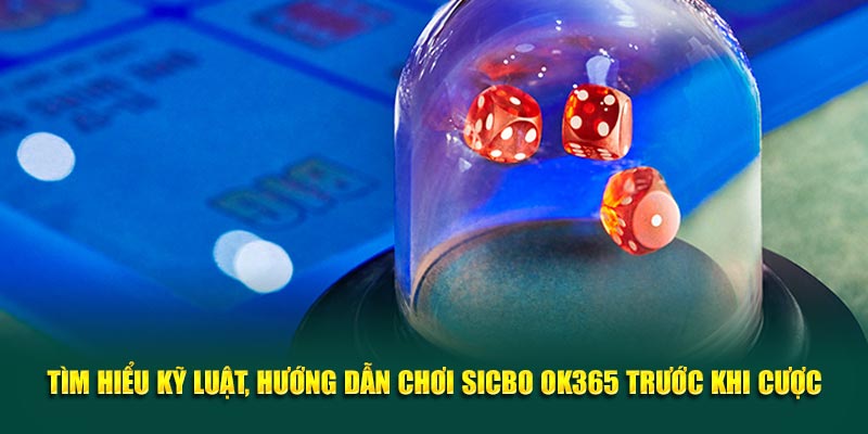 tim-hieu-ky-luat-huong-dan-choi-sicbo-ok365-truoc-khi-cuoc