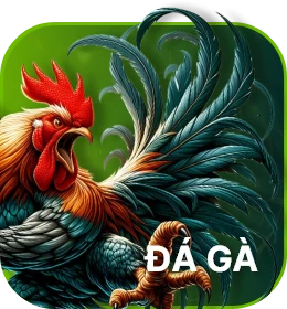 Đá gà